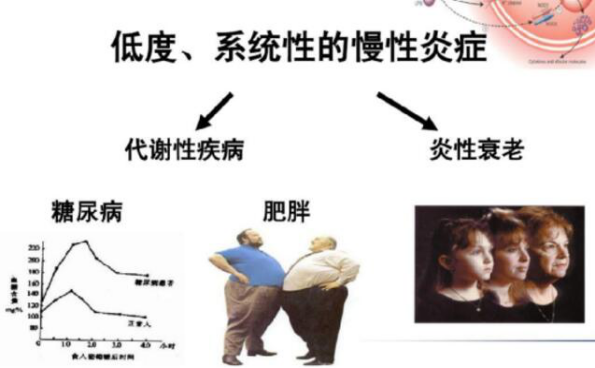 1626917711845002.png image.png